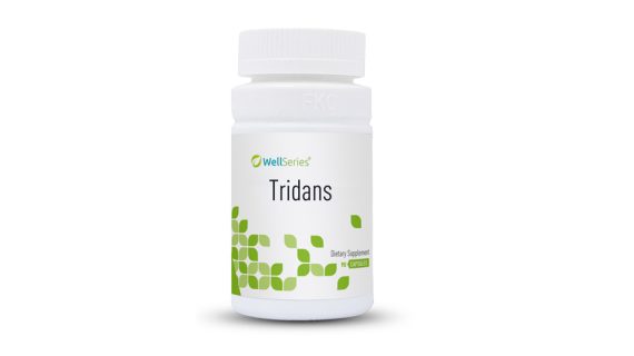 Tridans